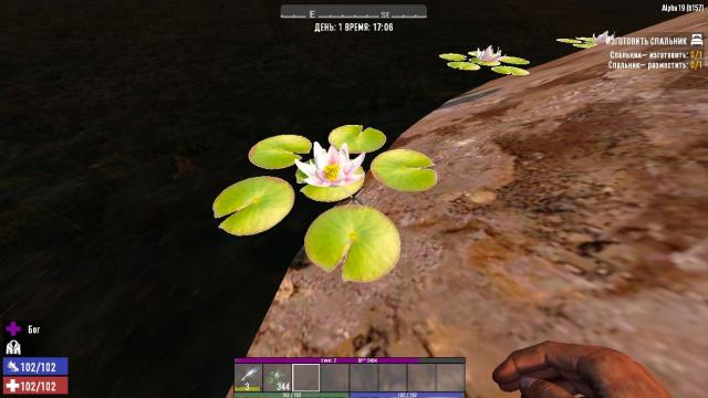 Water lotus