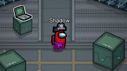 Pet Haunter (UFO)