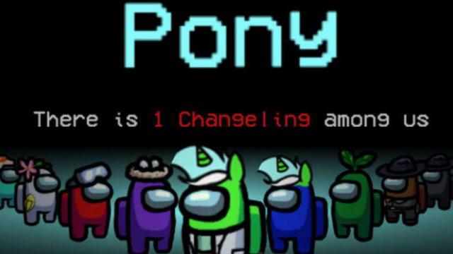 Pony Skin