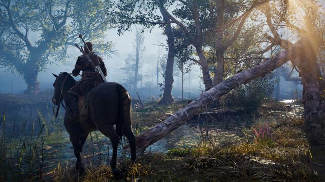 Wanderer's Tale - A Cinematic ReShade for Assassin's Creed Valhalla
