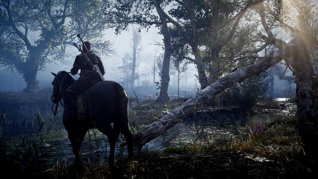 Wanderer's Tale - A Cinematic ReShade for Assassin's Creed Valhalla