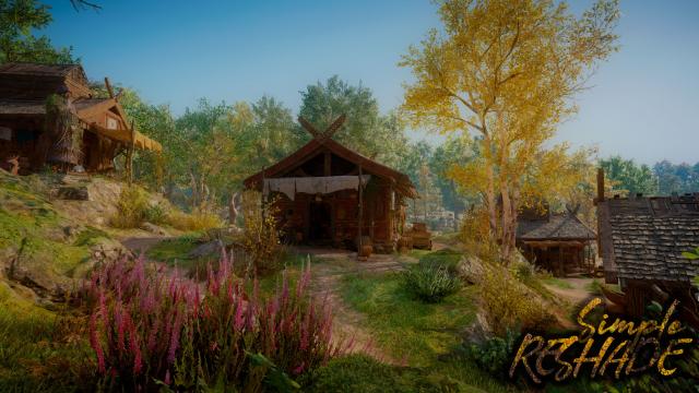 Simple RESHADE for Assassin's Creed Valhalla