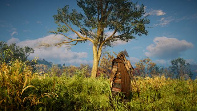 Touch of Asgard - ReShade Preset for Assassin's Creed Valhalla