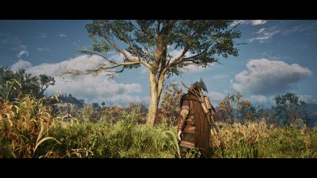 Touch of Asgard - ReShade Preset for Assassin's Creed Valhalla