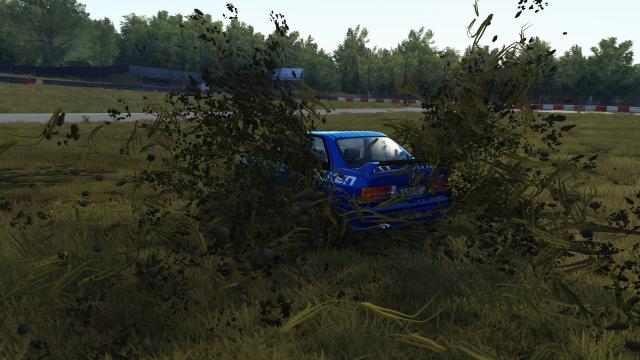 Custom Shaders Patch for Assetto Corsa