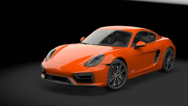 Porsche Cayman GTS 981 | TGN