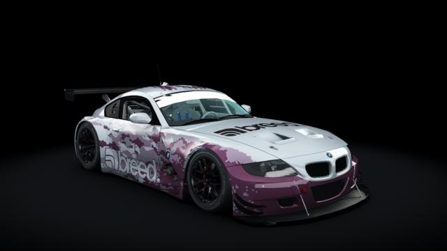BMW Z4 M Coupe GT3 для Assetto Corsa