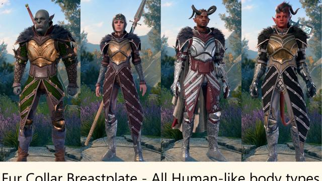Extra Gear for Baldur's Gate 3