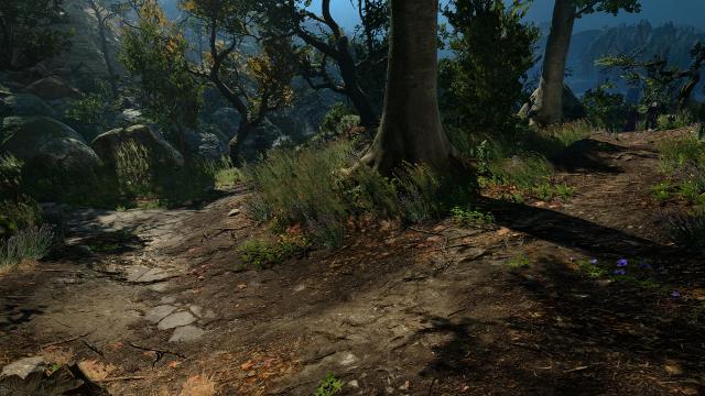 Vivid Landscapes - HD Ground and Terrain Textures with zero performance loss