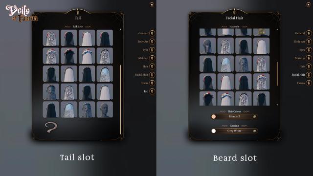 Veils of Faerun for Baldur's Gate 3