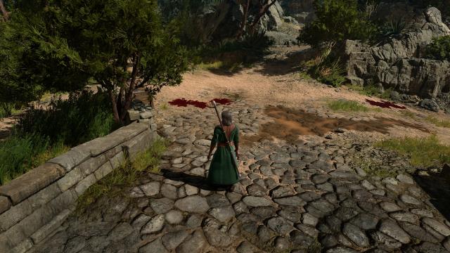 Vivid Landscapes - Roads - 1k-2k-4k-Best Performance for Baldur's Gate 3