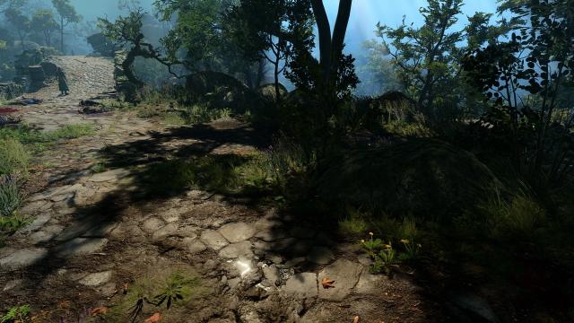 Vivid Landscapes - Roads - 1k-2k-4k-Best Performance