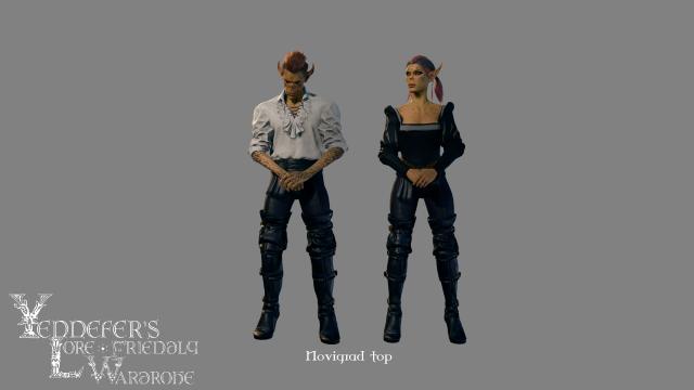 Yennefer's wardrobe for Baldur's Gate 3