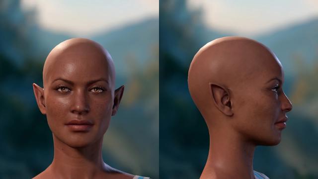 Frosty Faces (More Heads) for Baldur's Gate 3
