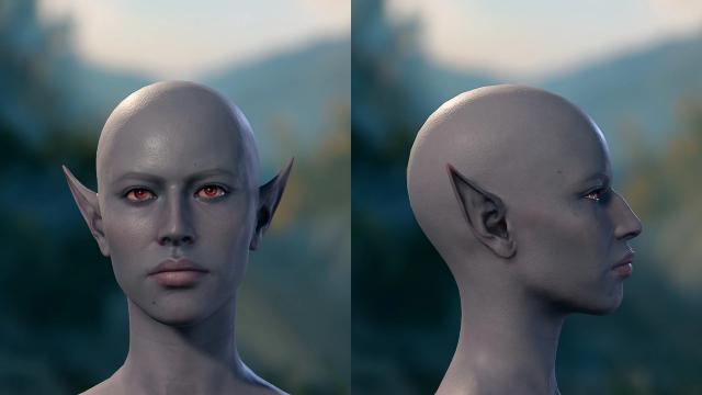 Frosty Faces (More Heads) for Baldur's Gate 3