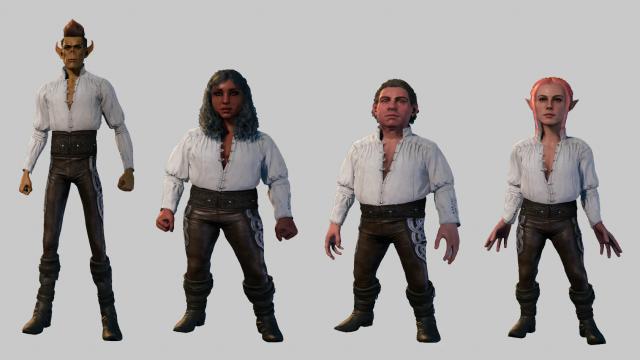 Ranger's Leather Armor for Baldur's Gate 3