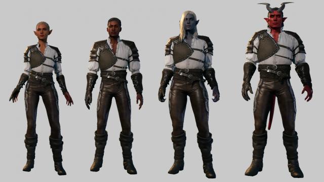 Ranger's Leather Armor for Baldur's Gate 3