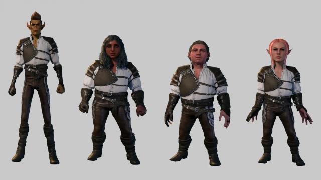 Ranger's Leather Armor for Baldur's Gate 3