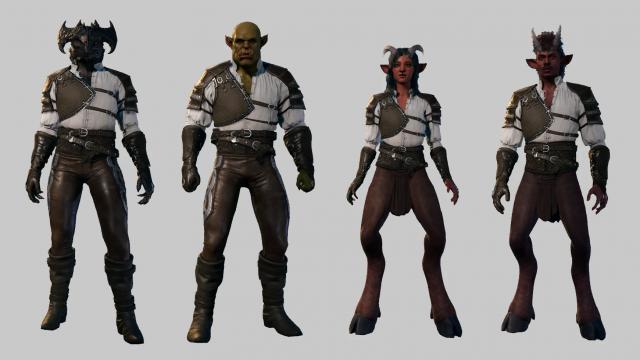 Ranger's Leather Armor for Baldur's Gate 3