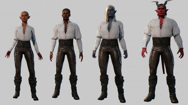 Ranger's Leather Armor for Baldur's Gate 3