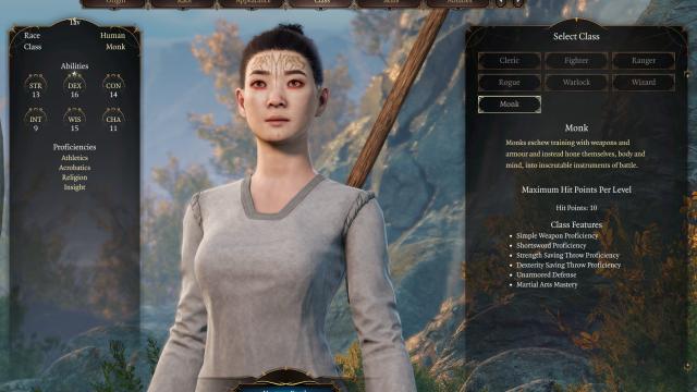 Playable Monk Class