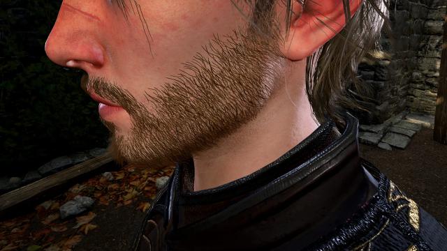 HD Hair and Beards v1.1.0 for Baldur's Gate 3