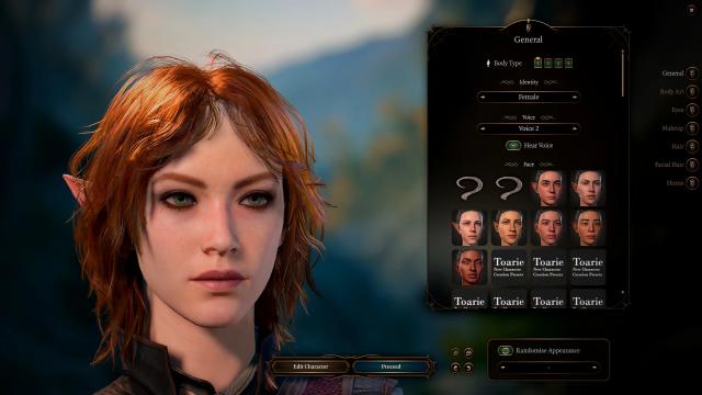 HD Hair and Beards v1.1.0 for Baldur's Gate 3