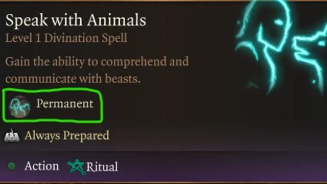 Permanent Speak With Animals