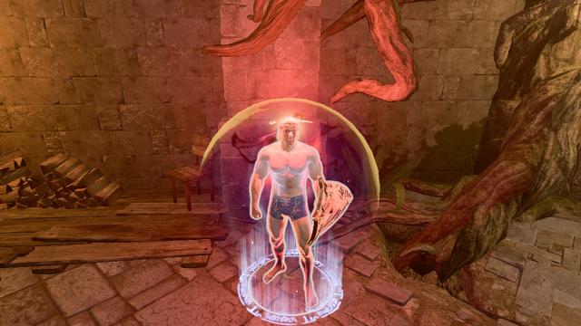 Cheat Item - Shield