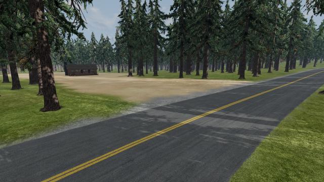 Forest