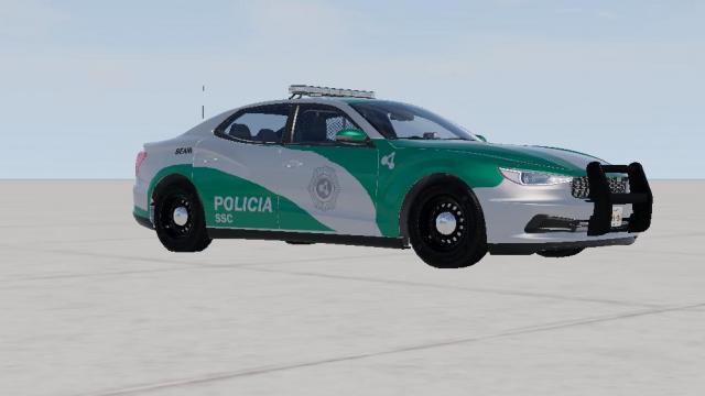 Mexico City Police Skin