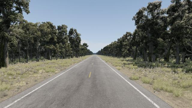 Texas, USA for BeamNG Drive