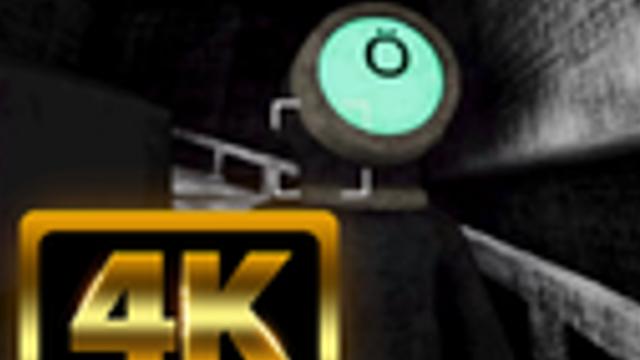 CaughtIn4K