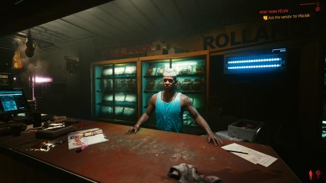 Пресет / Subtle Samurai для Cyberpunk 2077