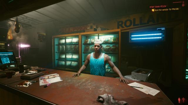 Пресет / Subtle Samurai для Cyberpunk 2077