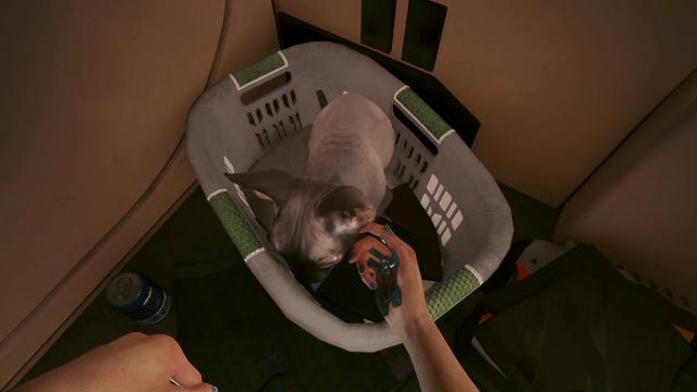 Pet Your Cat for Cyberpunk 2077