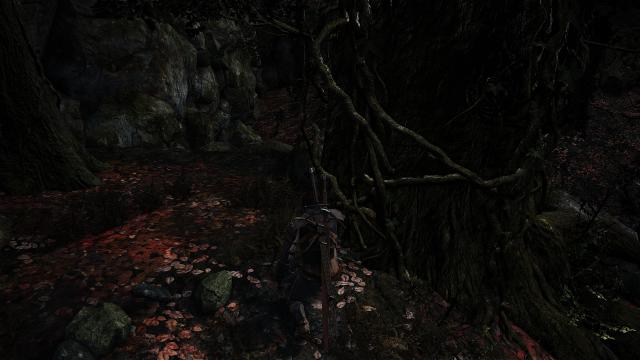 Сет Геральта / Geralt of Rivia armor and swords для Dark Souls 3