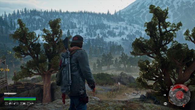 DEEK RESHADE for Days Gone