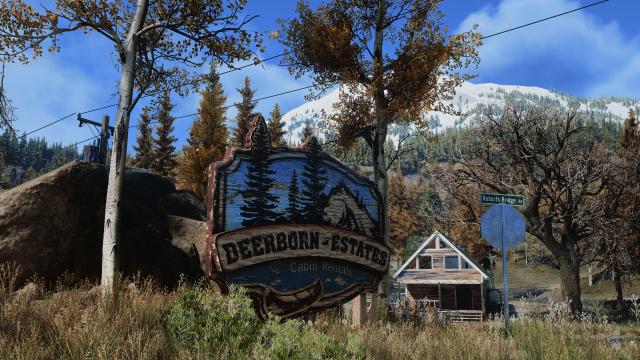 Apex ReShade для Days Gone