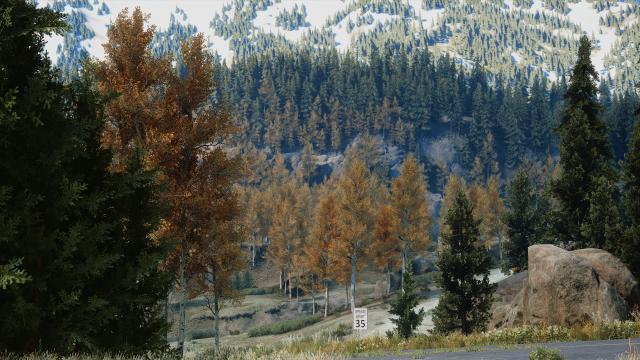 Apex ReShade для Days Gone
