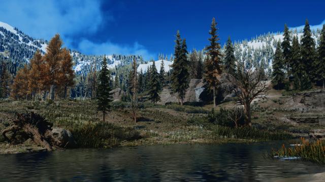 Apex ReShade для Days Gone