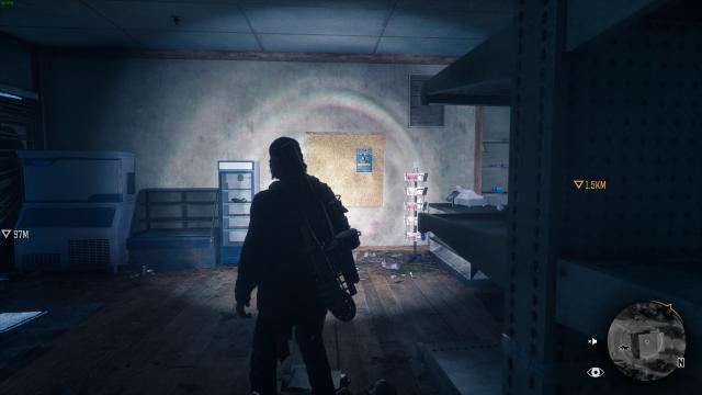 Улучшенный фонарь / Better Flashlight для Days Gone