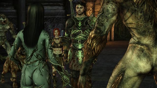 HD    Lady of The Forest HD Retexture Catachrism for Dragon Age Origins