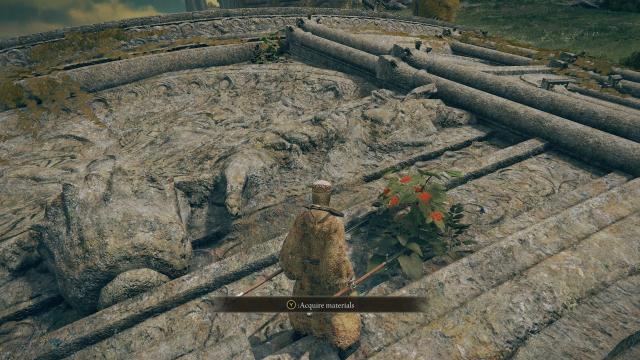 Elden Ring Item and Enemy Randomizer для Elden Ring