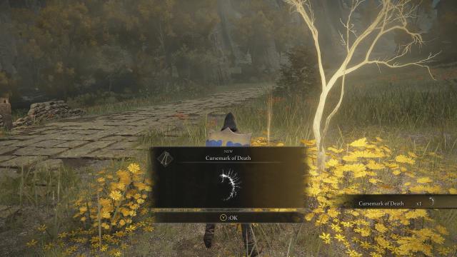 Elden Ring Item and Enemy Randomizer для Elden Ring