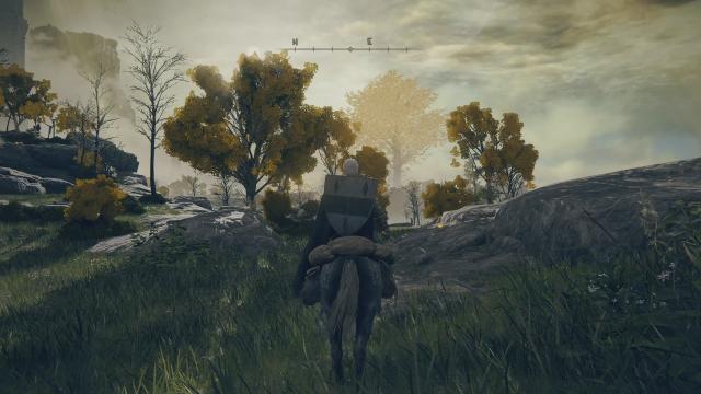 DeamonSoulsVisuals для Elden Ring