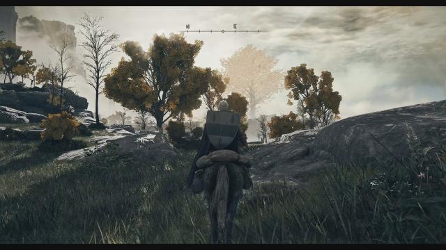 DeamonSoulsVisuals для Elden Ring