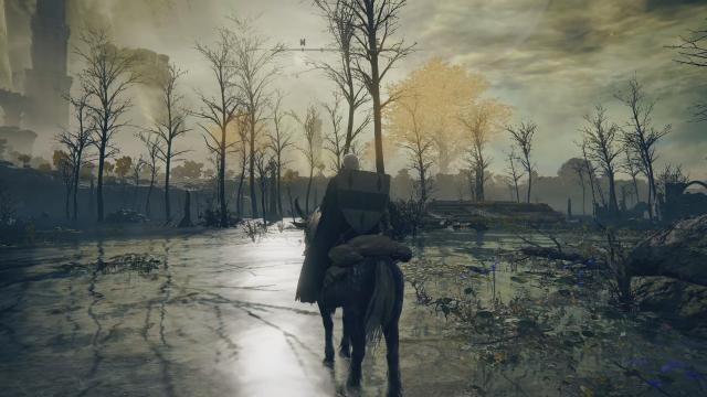 DeamonSoulsVisuals для Elden Ring