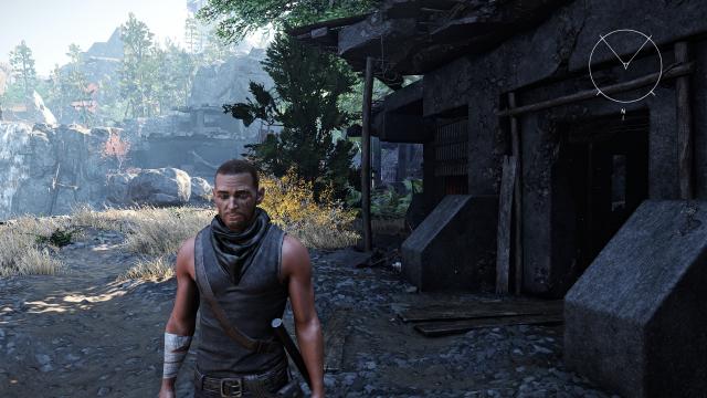 Natural Reshade for Elex 2