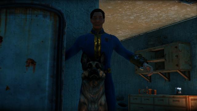 Disable Companion Collision